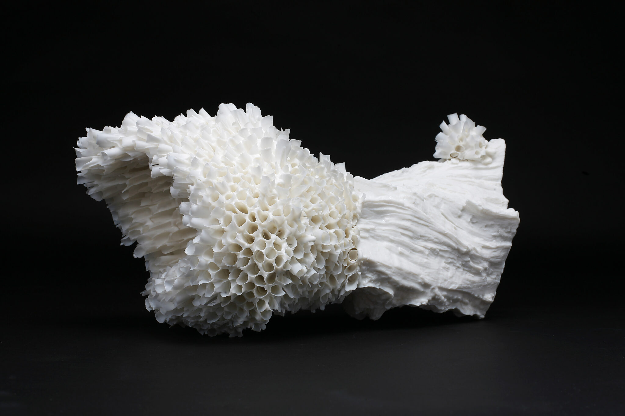 Skulptur aus Porzellan in Form von Korallen, auf schwarzem Hintergrund, von Stefan Passig fotografiert.
