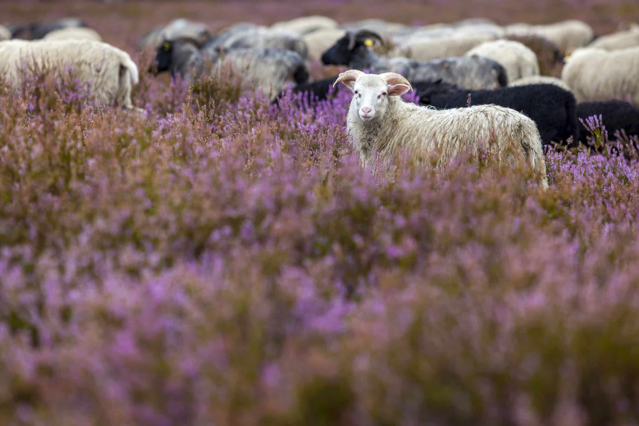 Landkreis ElbeElster Deutsche Manufakturenstrasse