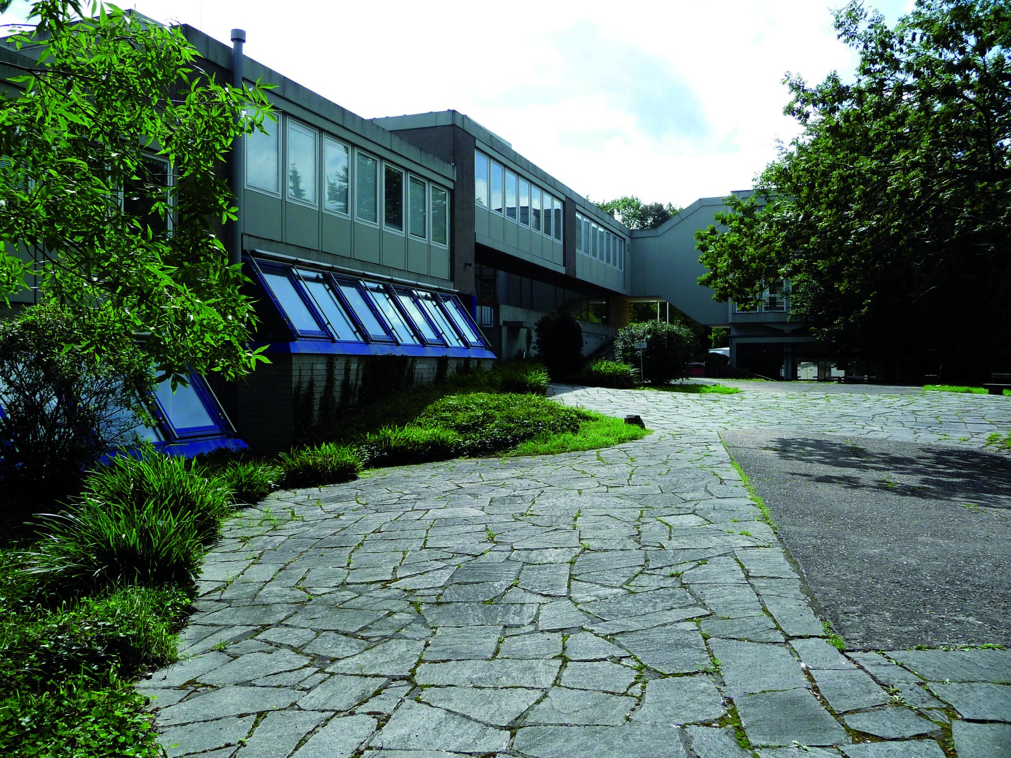 Ansicht Schulhof - Deutsche Manufakturenstrasse Schulhof mit gepflastertem Weg, umgeben von Büschen und Bäumen, und einem modernen Gebäude im Hintergrund.