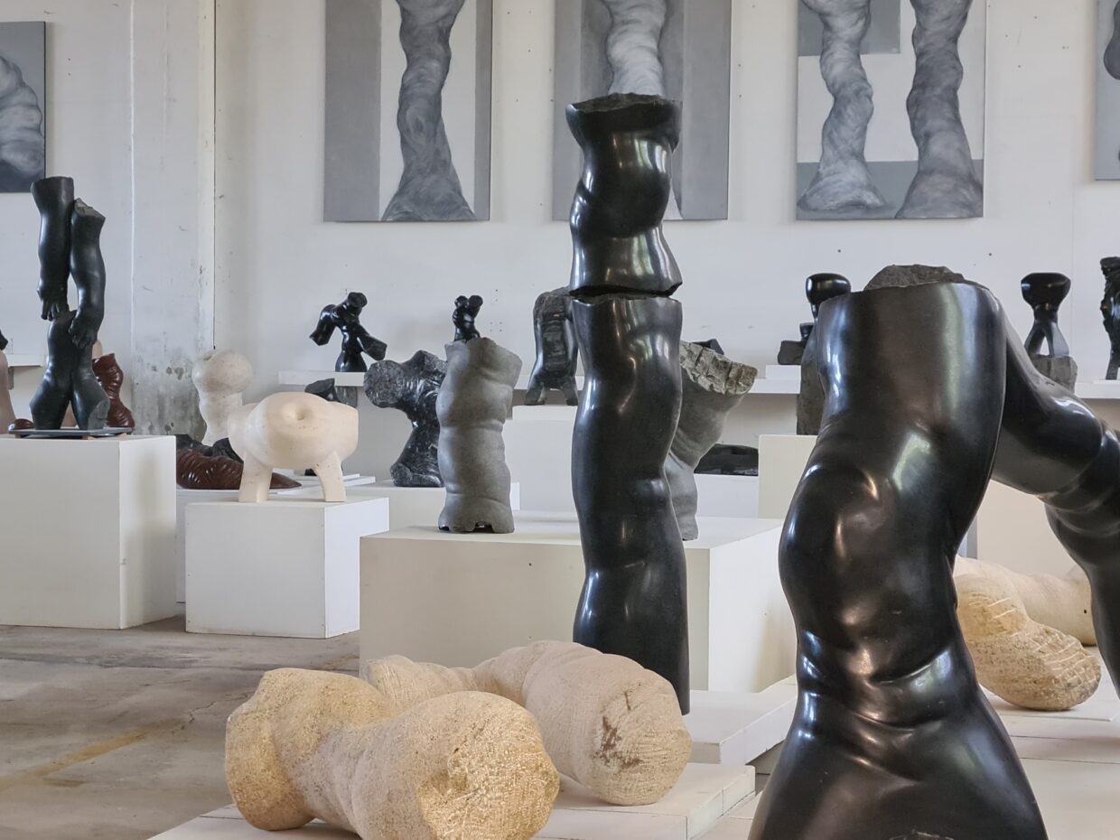 C Traub Atelier - Deutsche Manufakturenstrasse Skulpturen in einem Atelier, verschiedene Figuren aus schwarzem und hellem Material auf weißen Podesten.